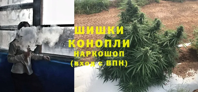 наркота  Нефтегорск  Марихуана Ganja 